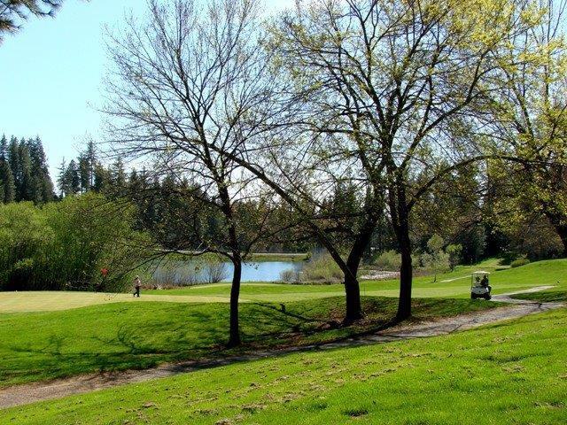 260 Forest Meadows Drive