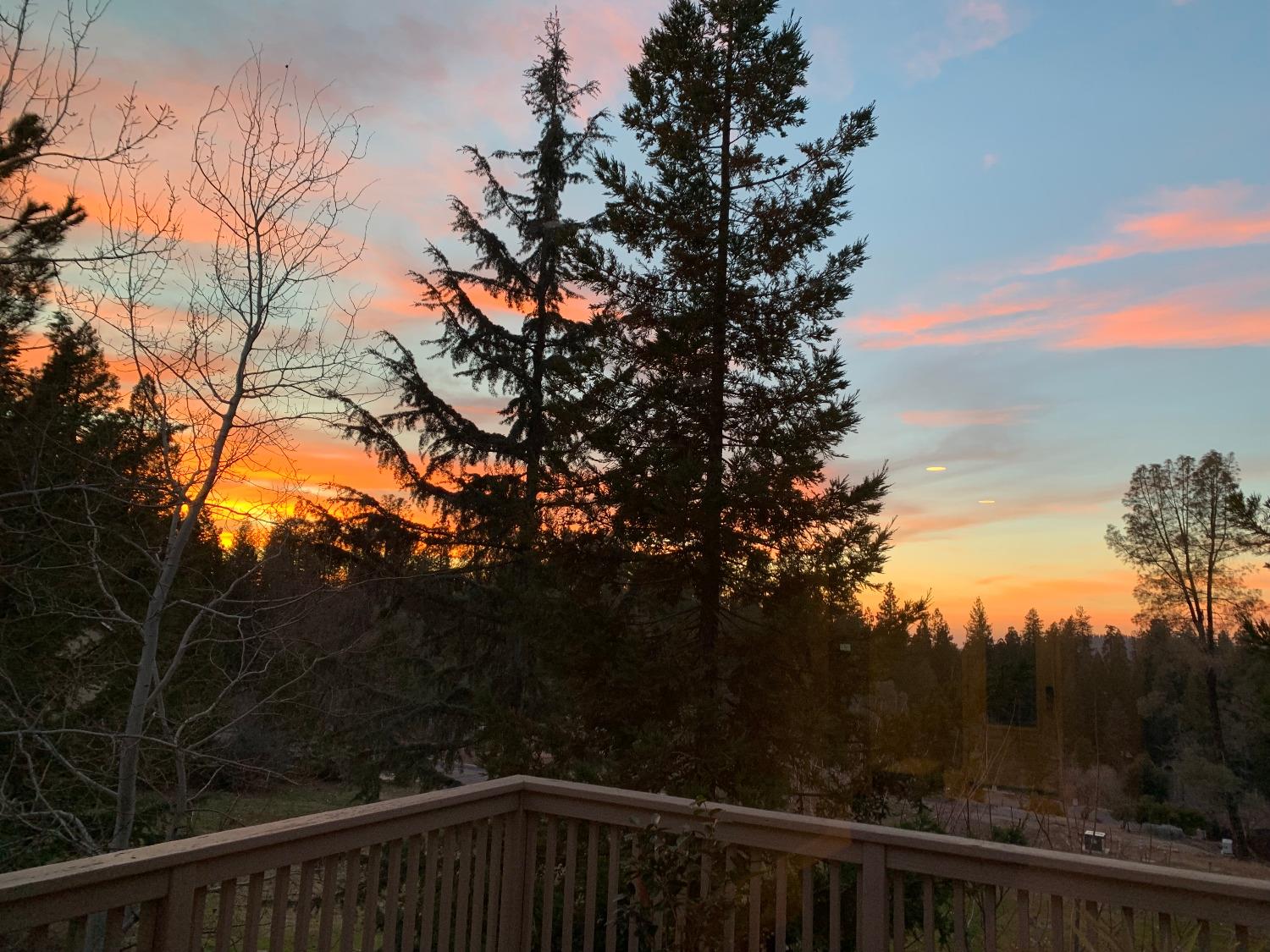 260 Forest Meadows Drive