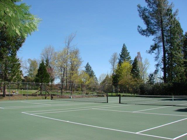260 Forest Meadows Drive