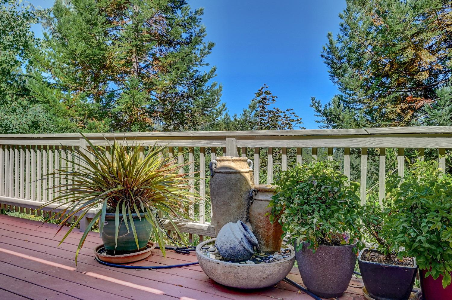 260 Forest Meadows Drive