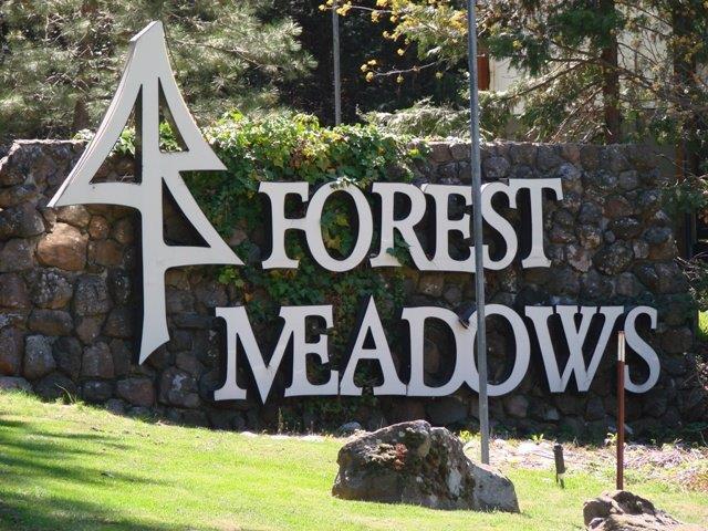 260 Forest Meadows Drive