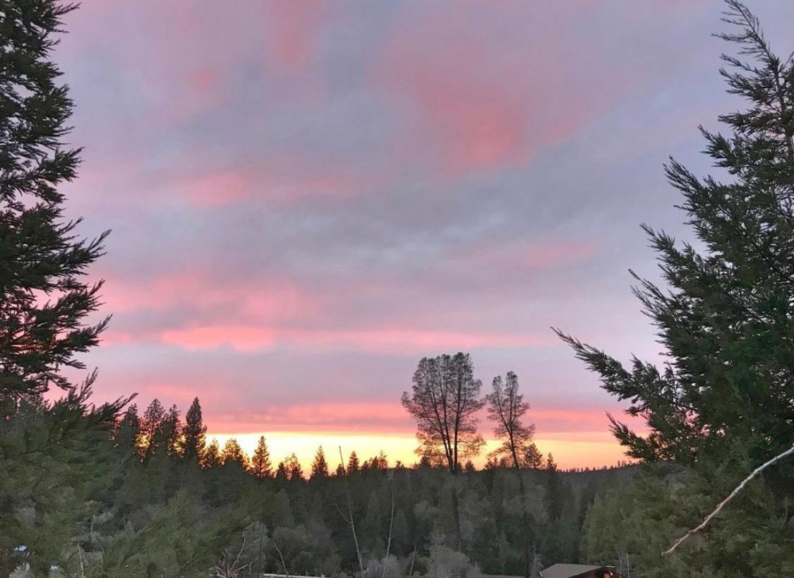 260 Forest Meadows Drive