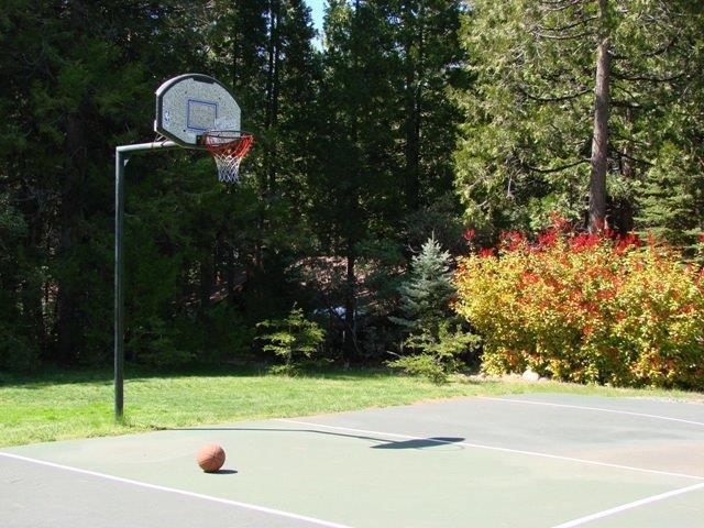 260 Forest Meadows Drive