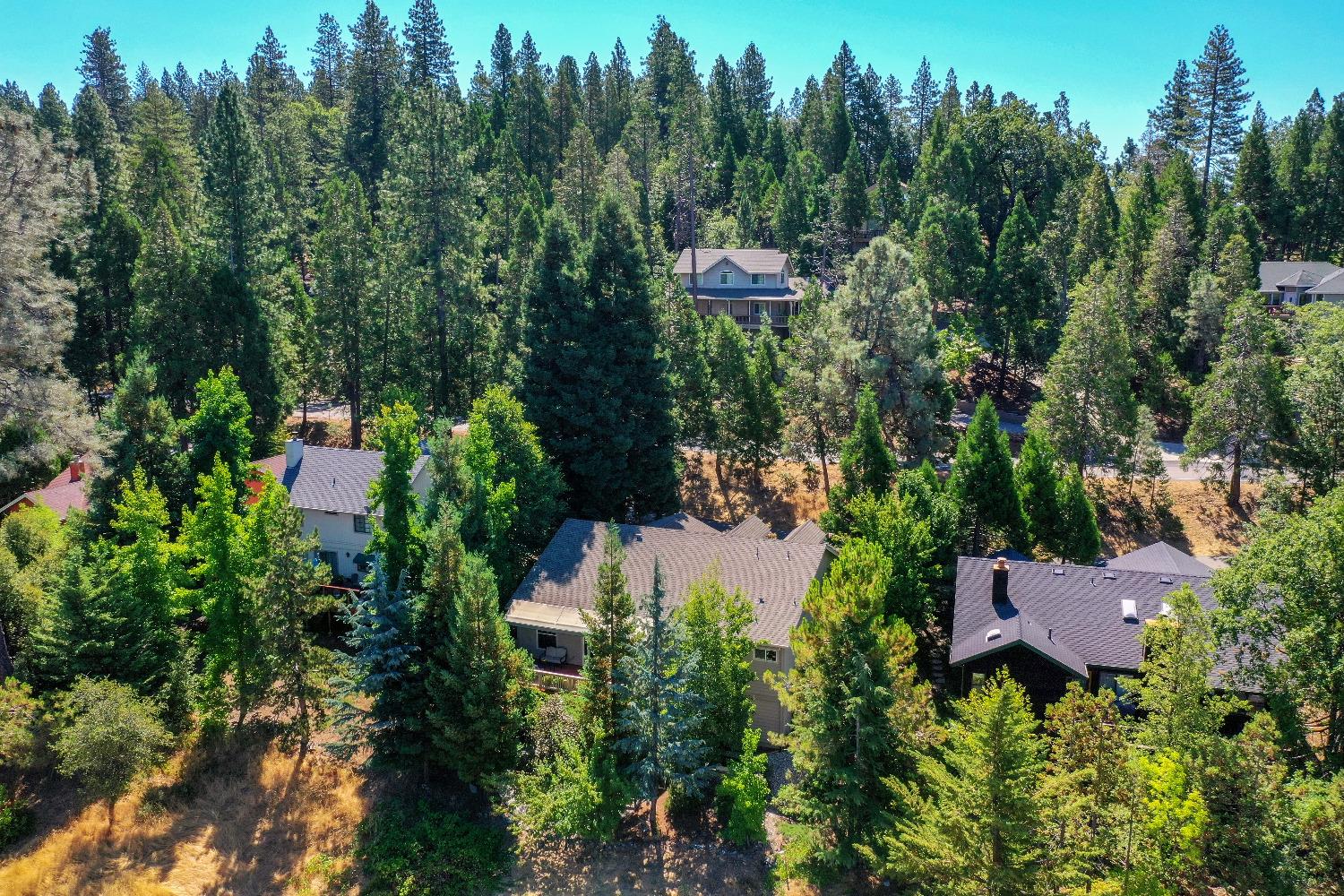 260 Forest Meadows Drive