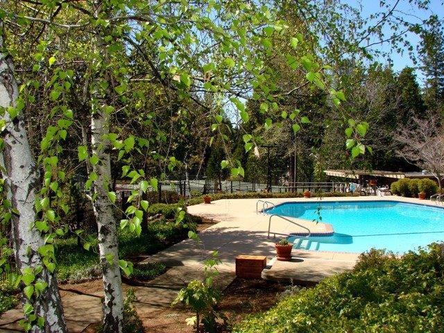 260 Forest Meadows Drive