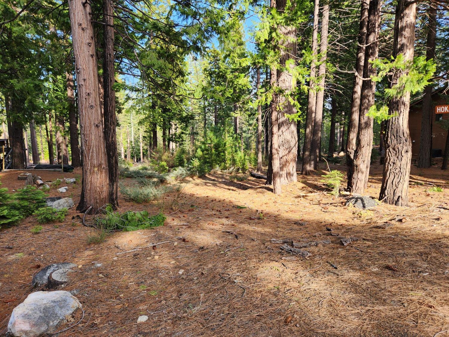 5340 Meko Drive