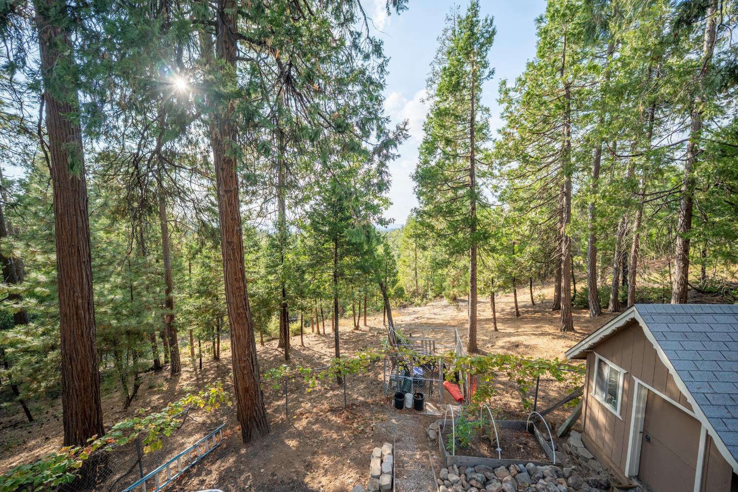 762 Sugarbush Lane