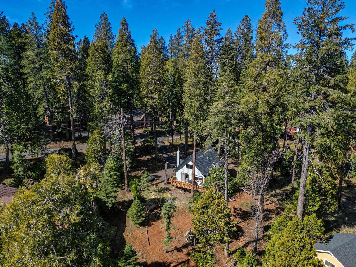 217 Russell Drive