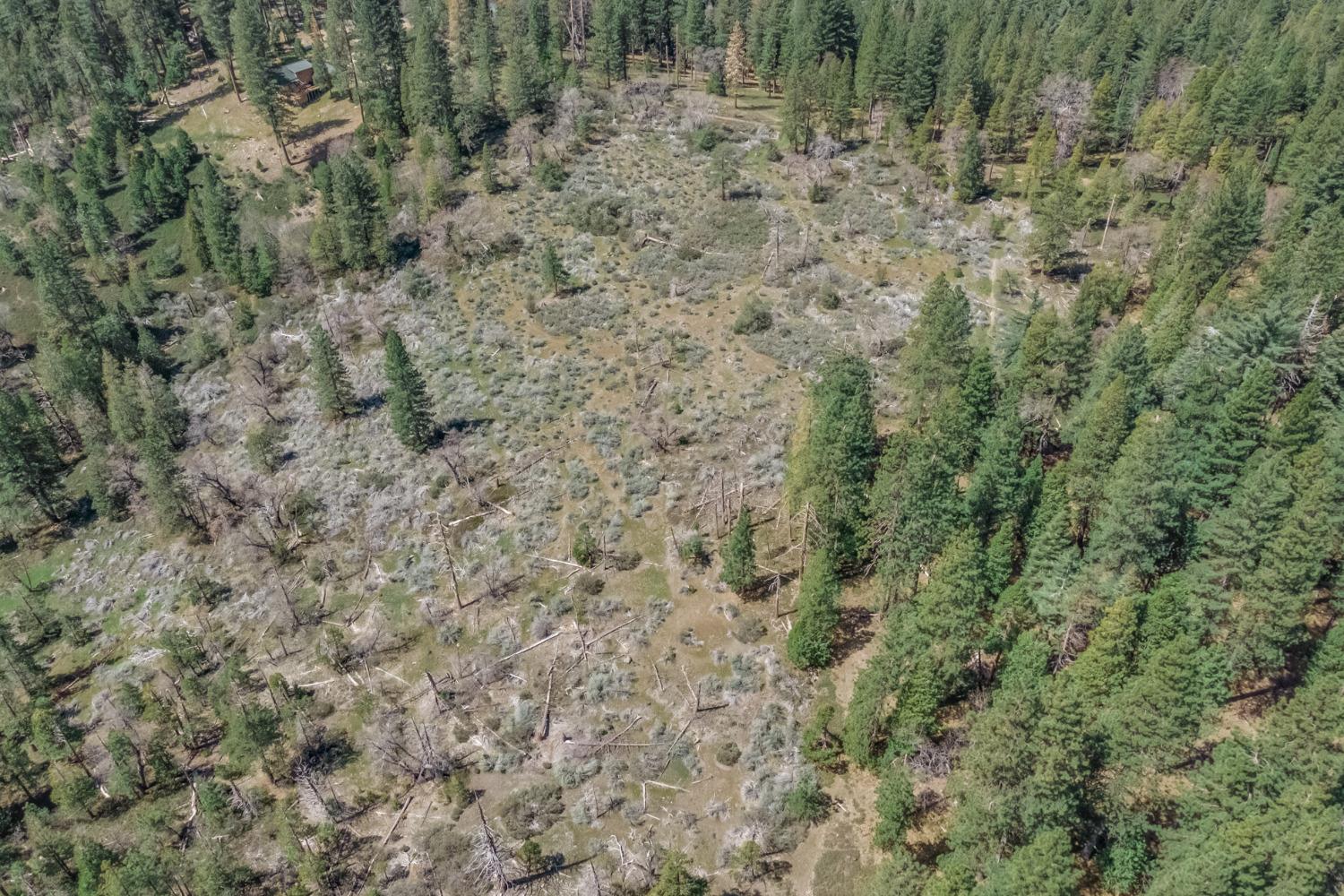 0 Summit View