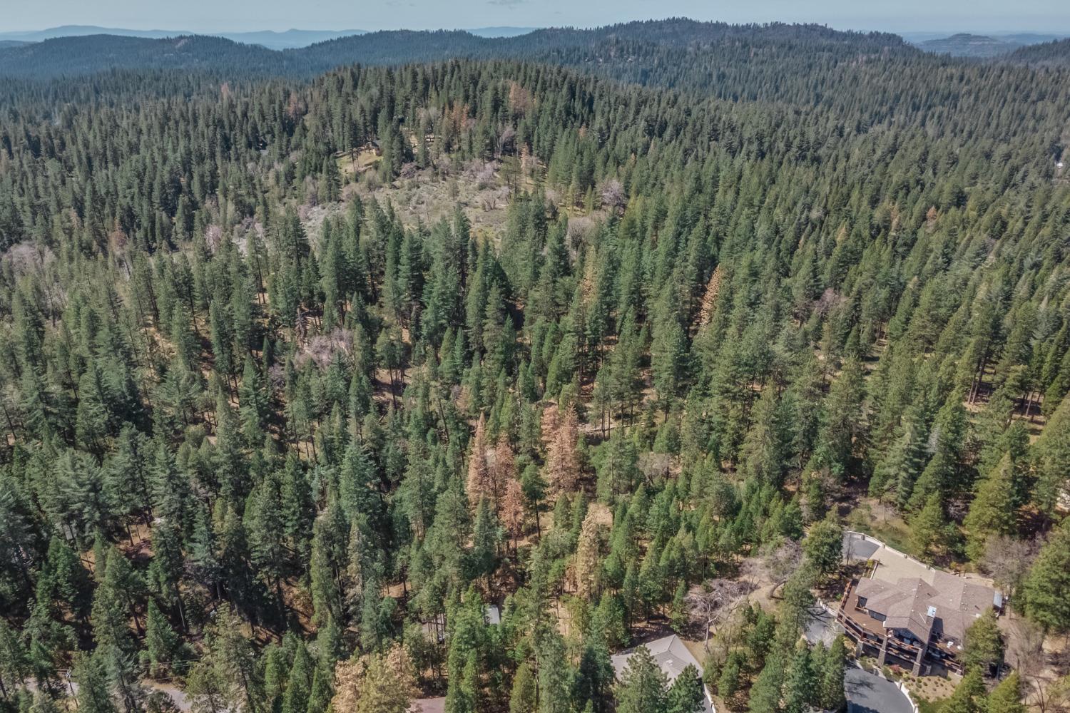 0 Summit View