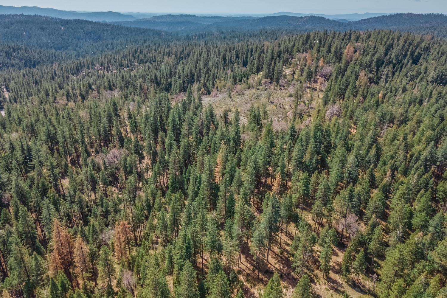 0 Summit View