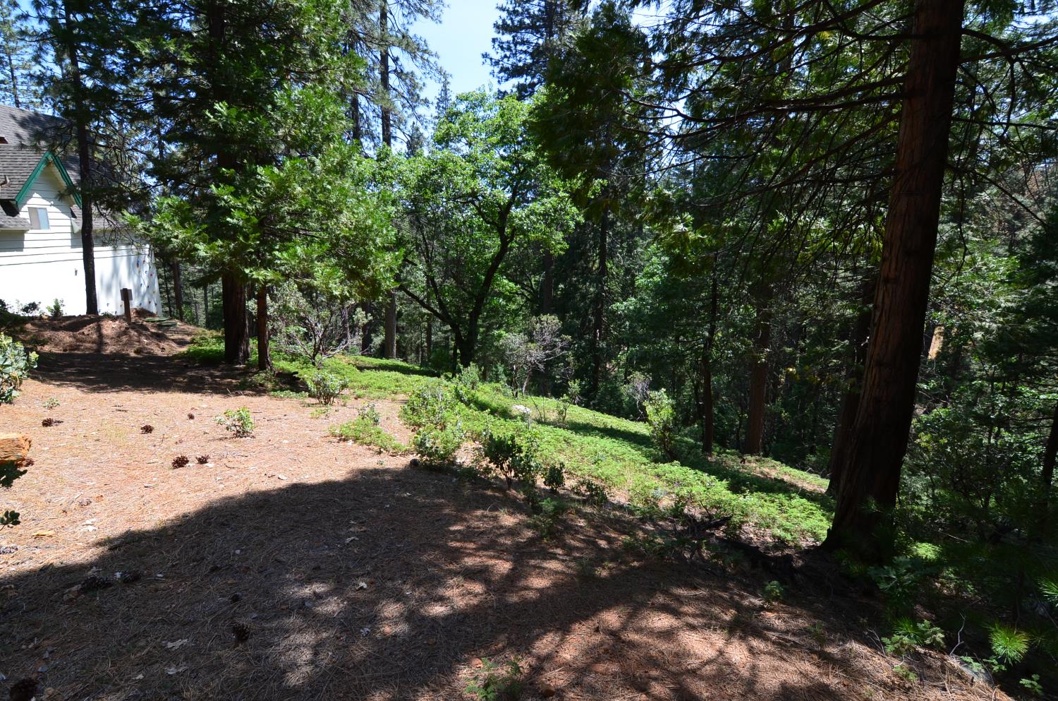 2768 El Dorado Drive