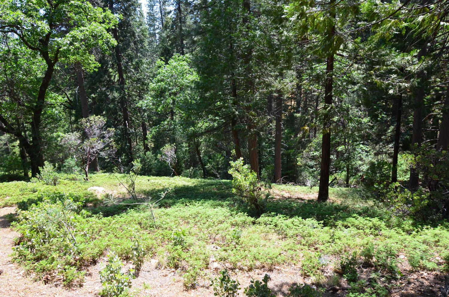 2768 El Dorado Drive