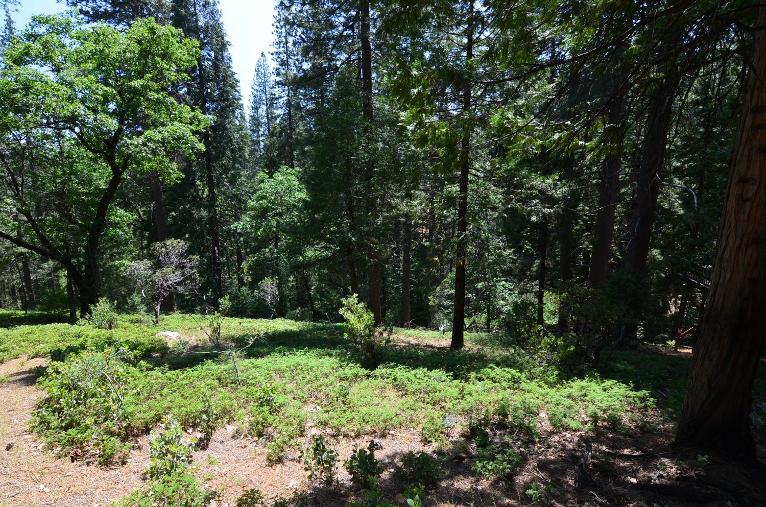 2768 El Dorado Drive
