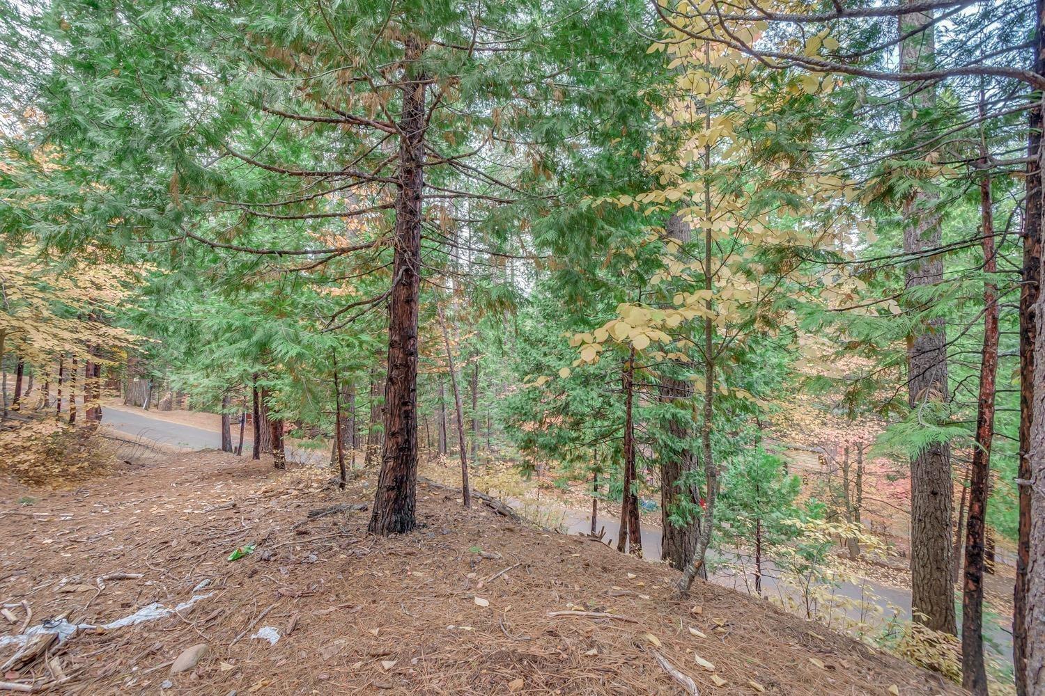 1685 Manzanita Drive