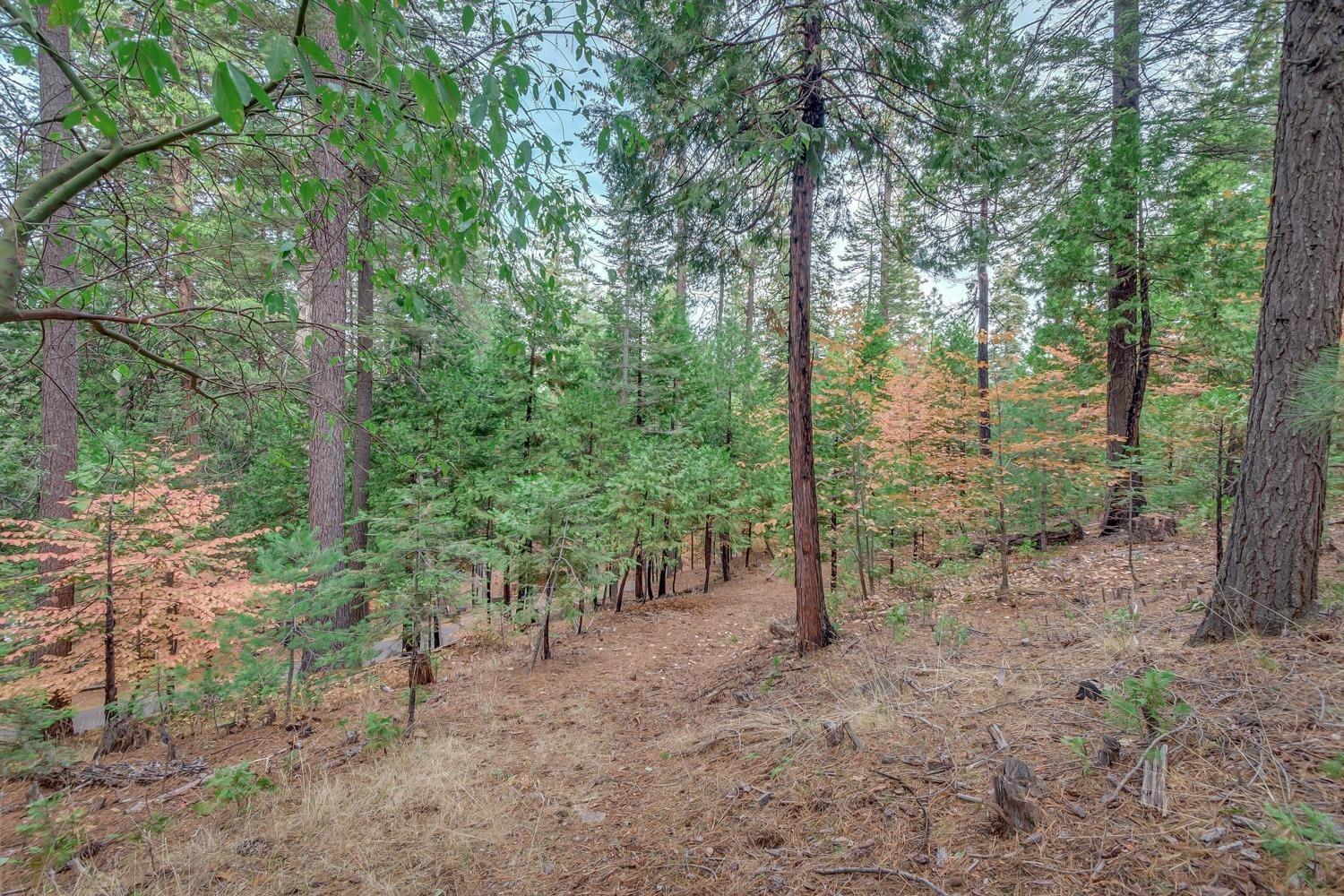 1685 Manzanita Drive