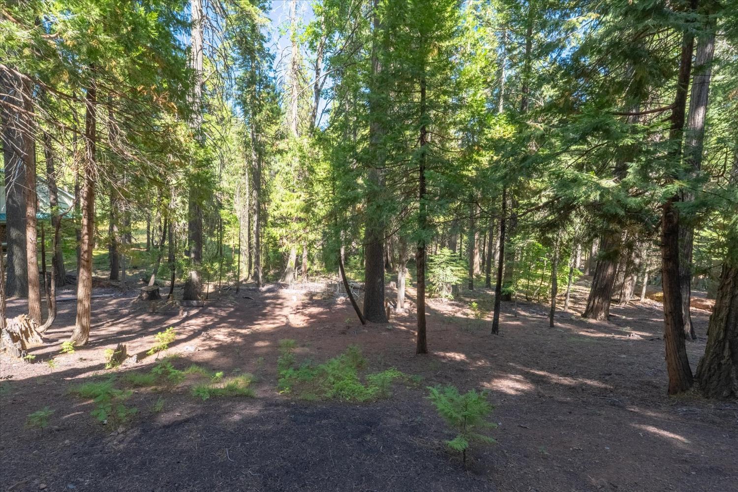 3245 Kenshaw Way