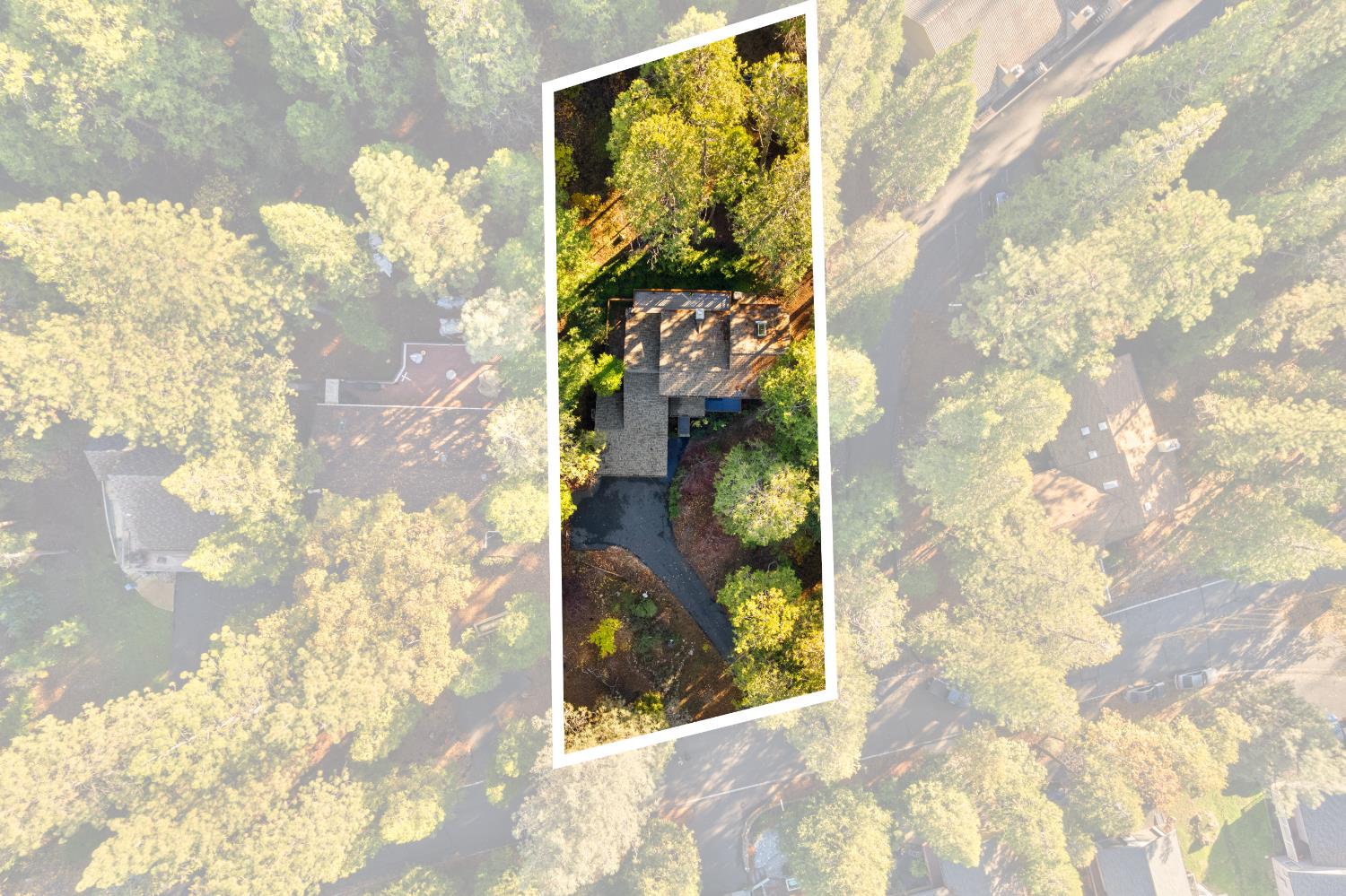 208 Snowberry Court