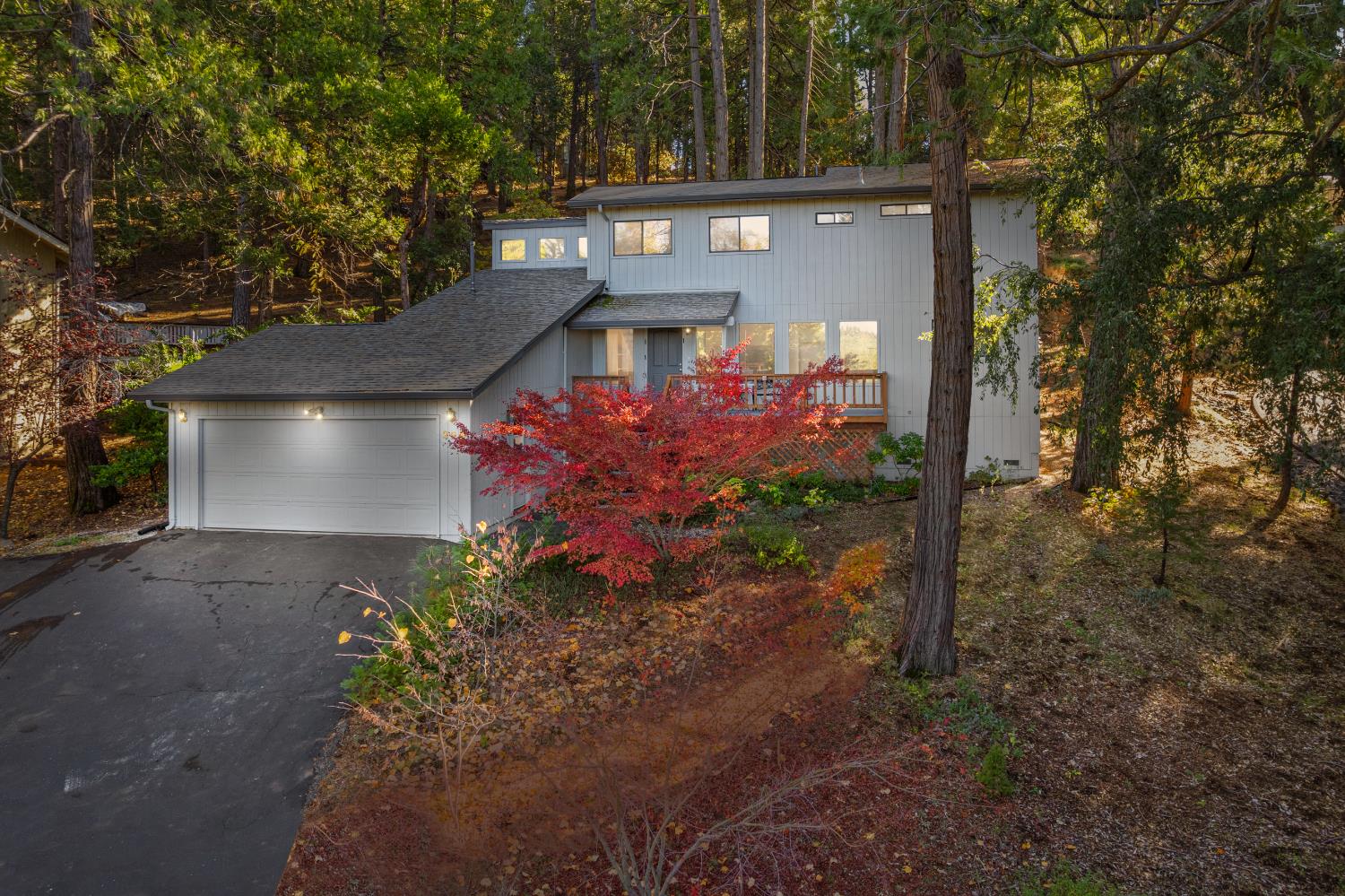 208 Snowberry Court