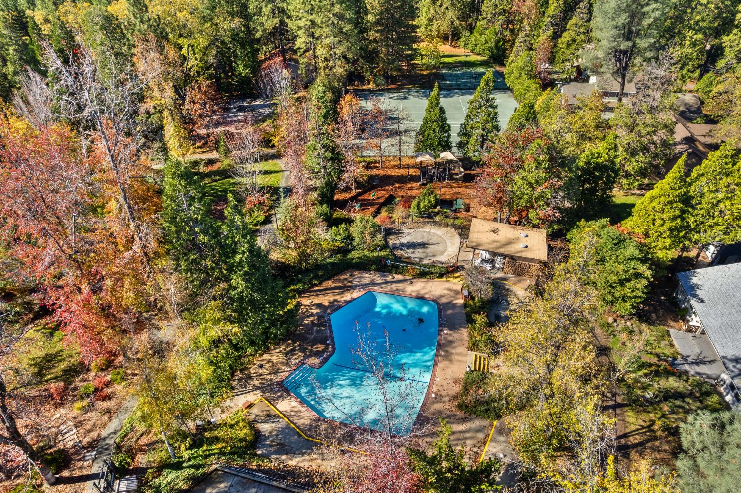 208 Snowberry Court