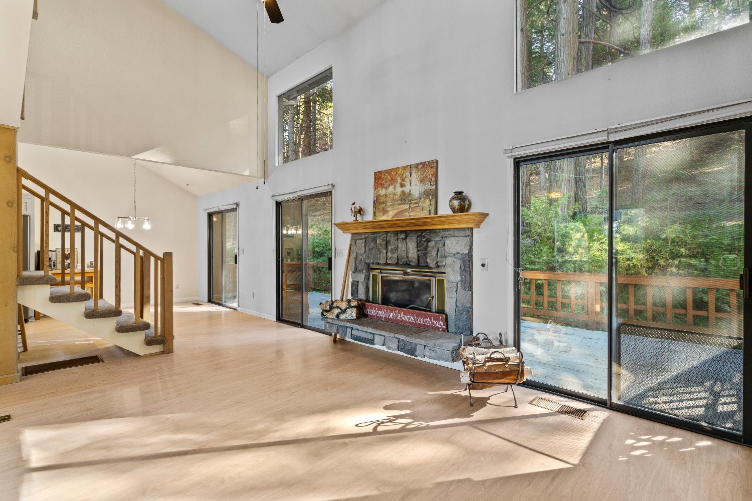 208 Snowberry Court