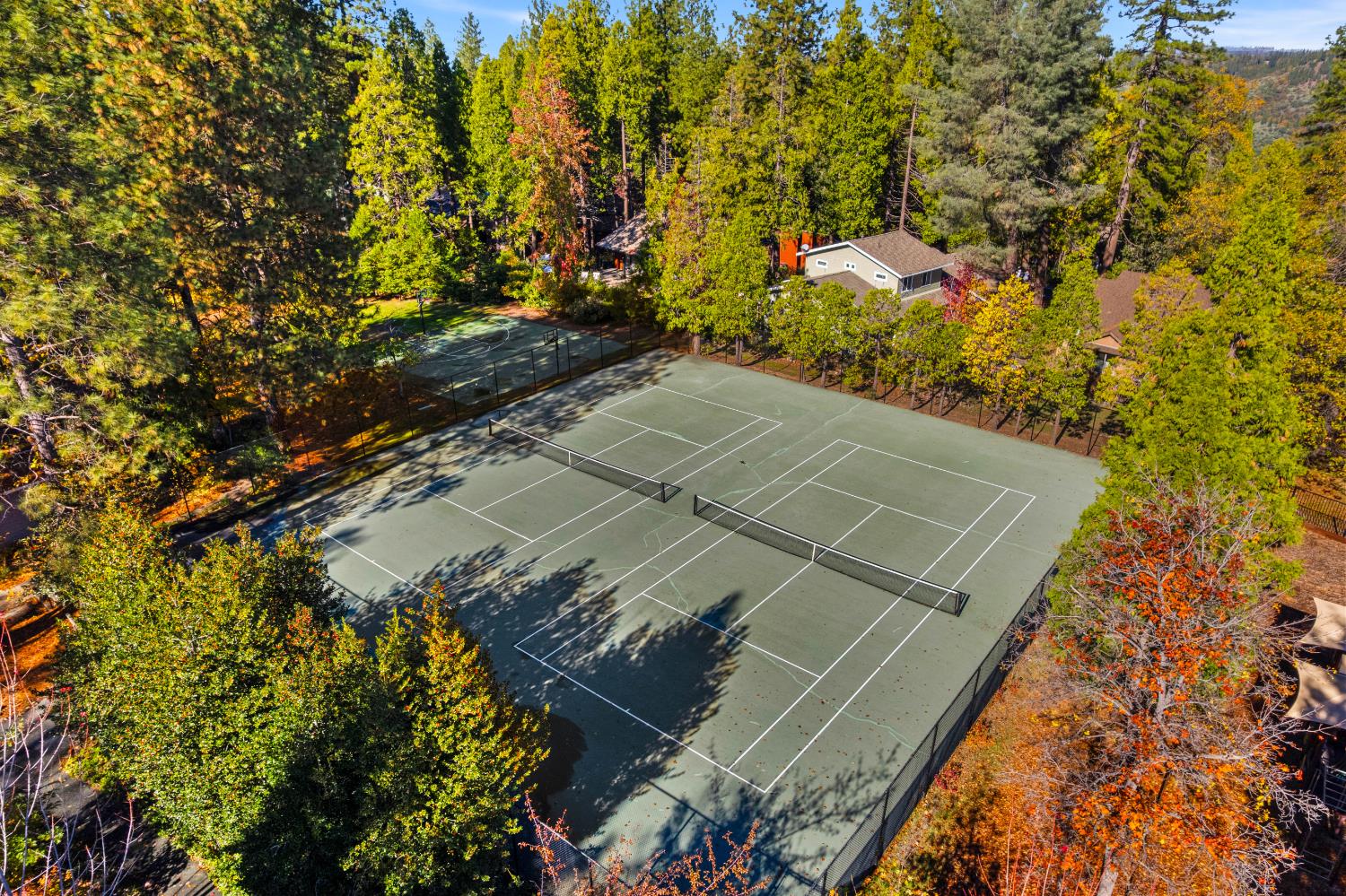 208 Snowberry Court
