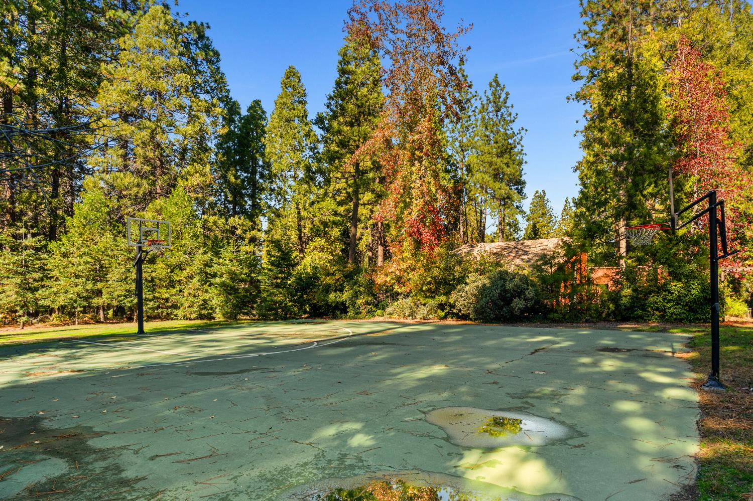 208 Snowberry Court