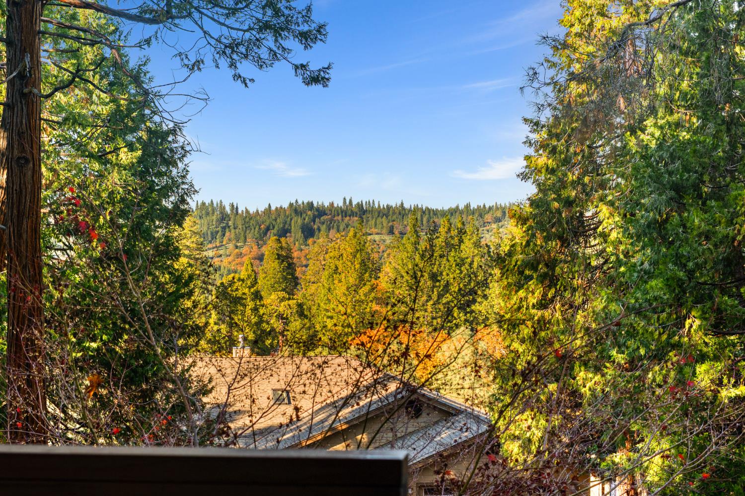 208 Snowberry Court