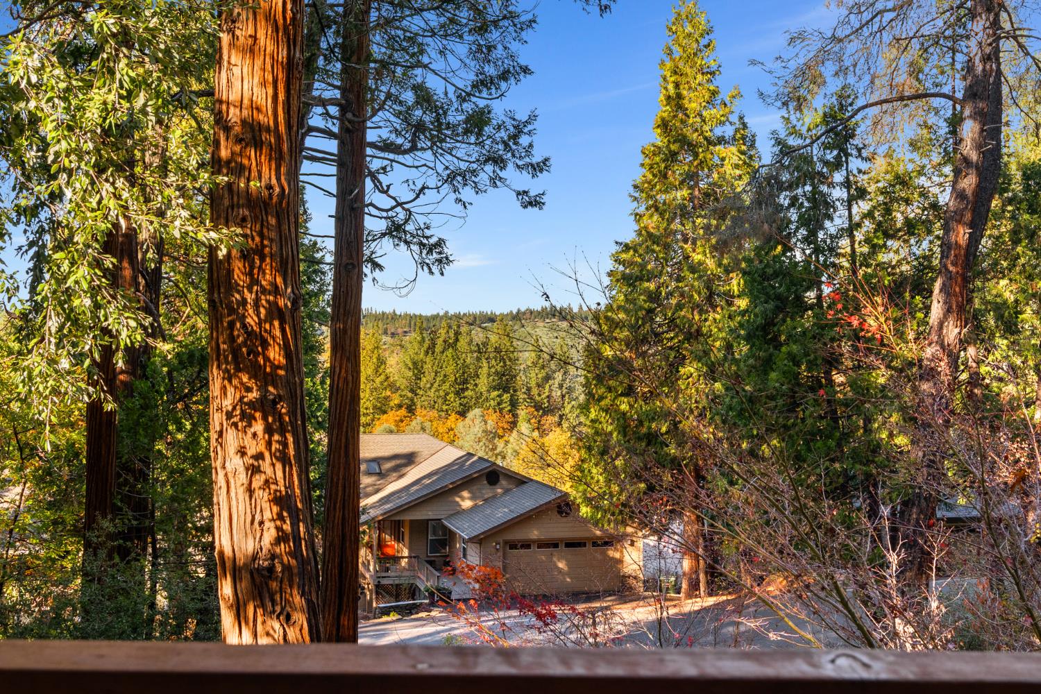 208 Snowberry Court
