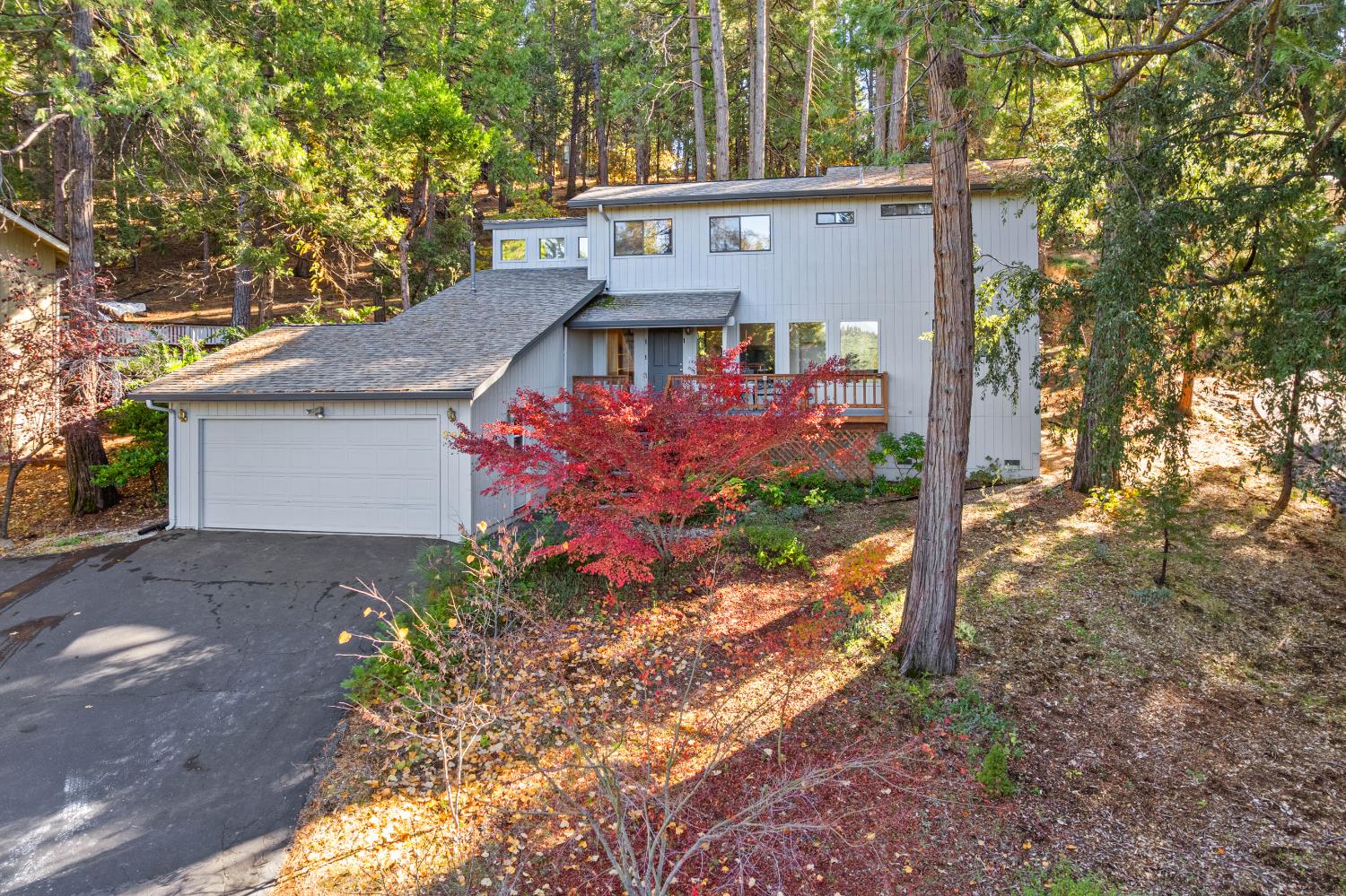 208 Snowberry Court
