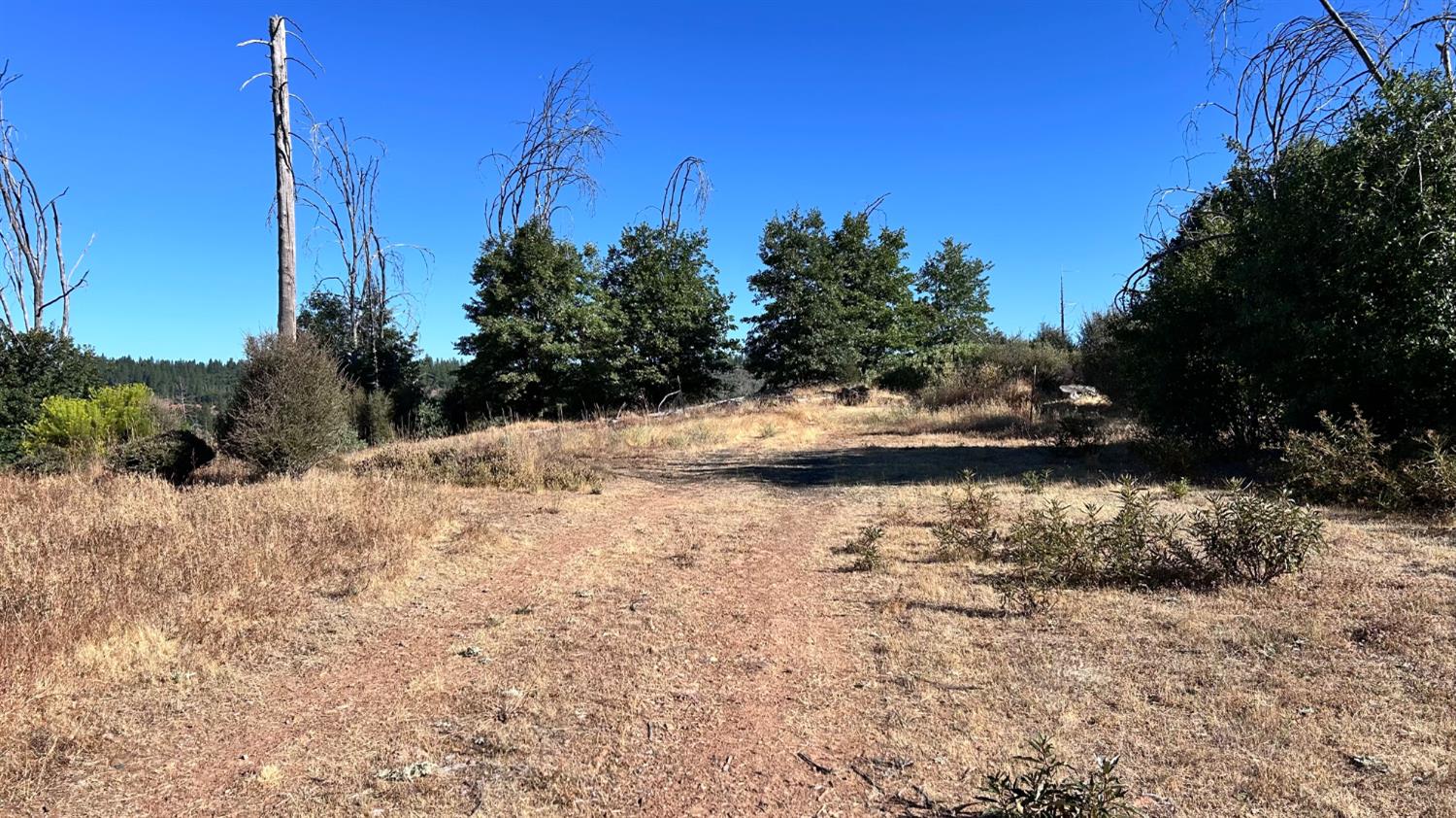 6028 Railroad Flat Rd.