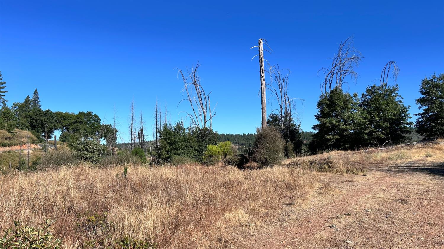 6028 Railroad Flat Rd.