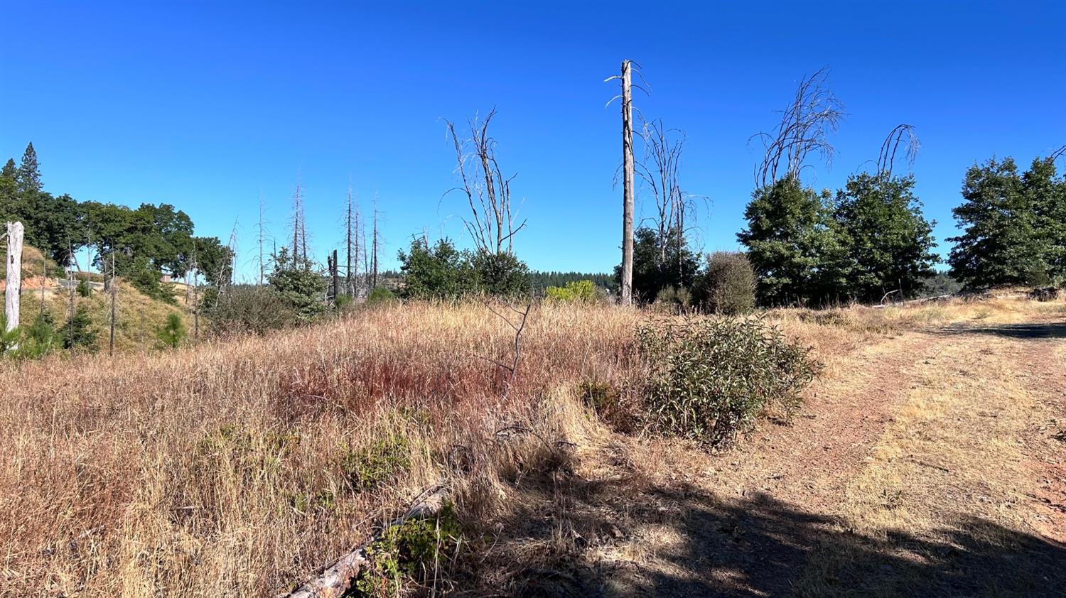 6028 Railroad Flat Rd.