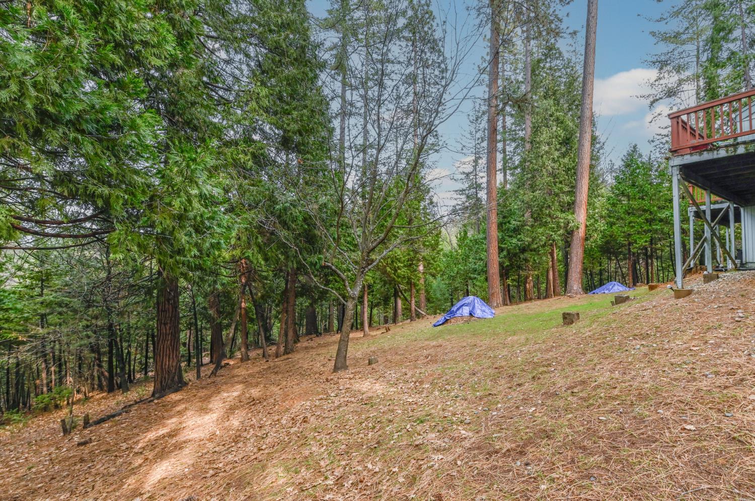 24214 N Oxbow Lane