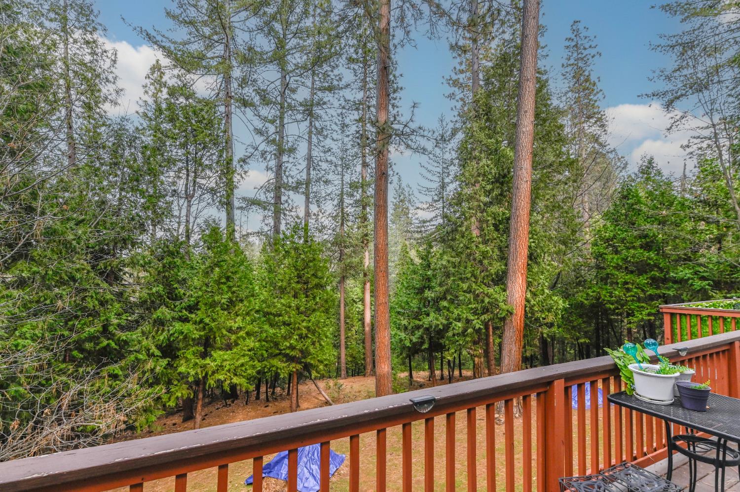 24214 N Oxbow Lane
