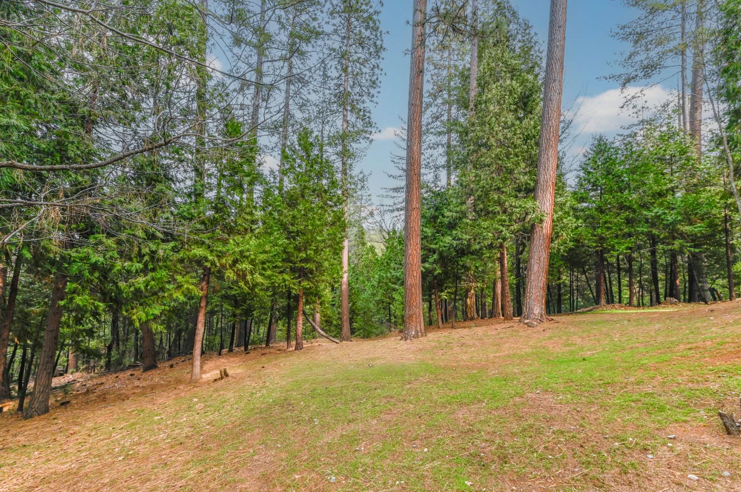 24214 N Oxbow Lane