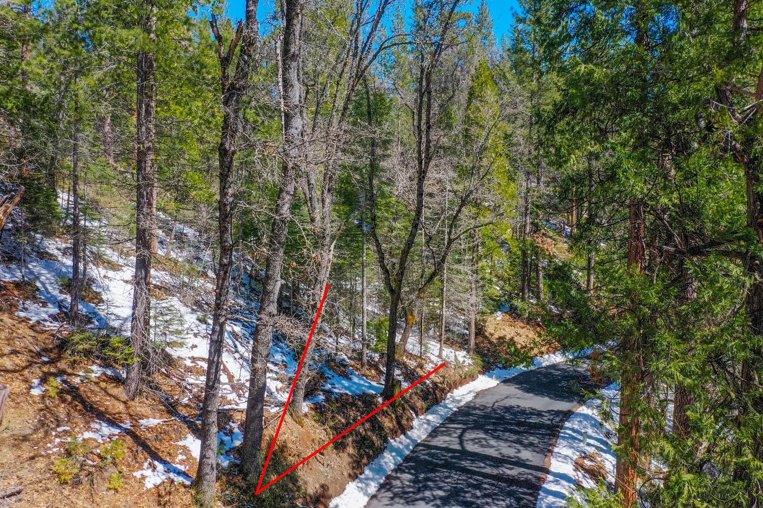 3488 Moran Road