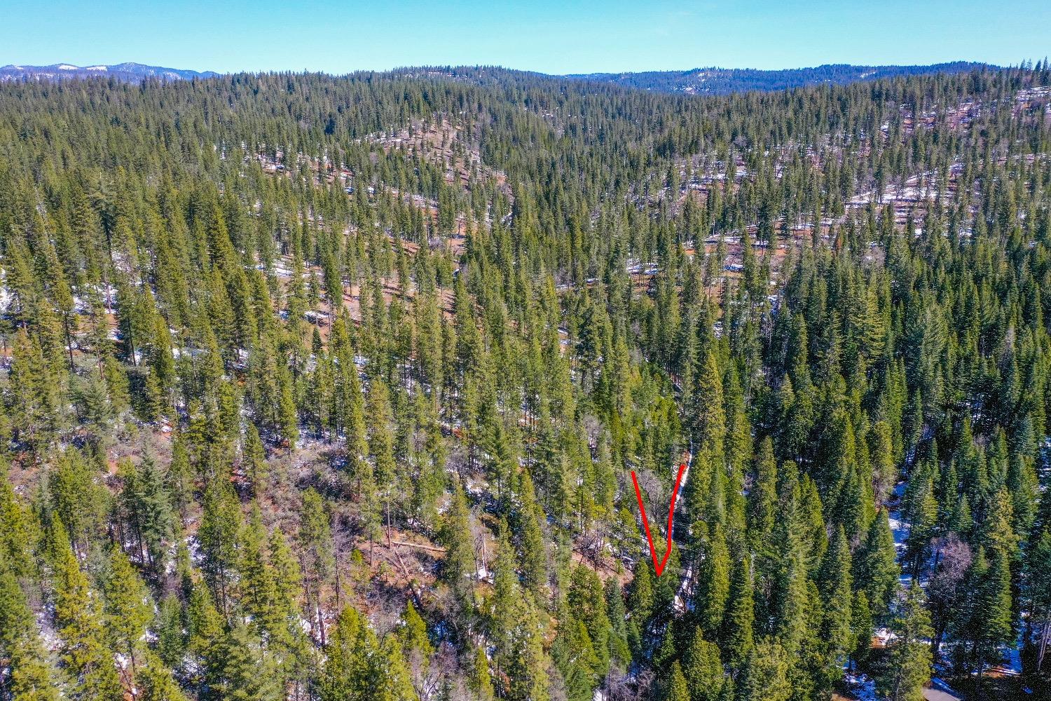3488 Moran Road
