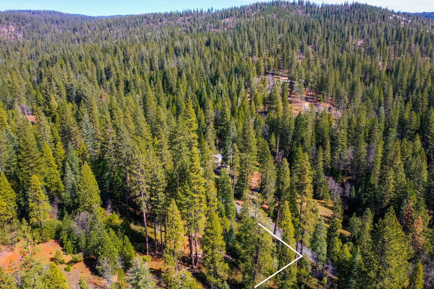 3488 Moran Road