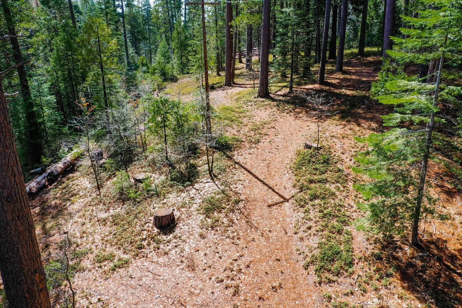 3488 Moran Road