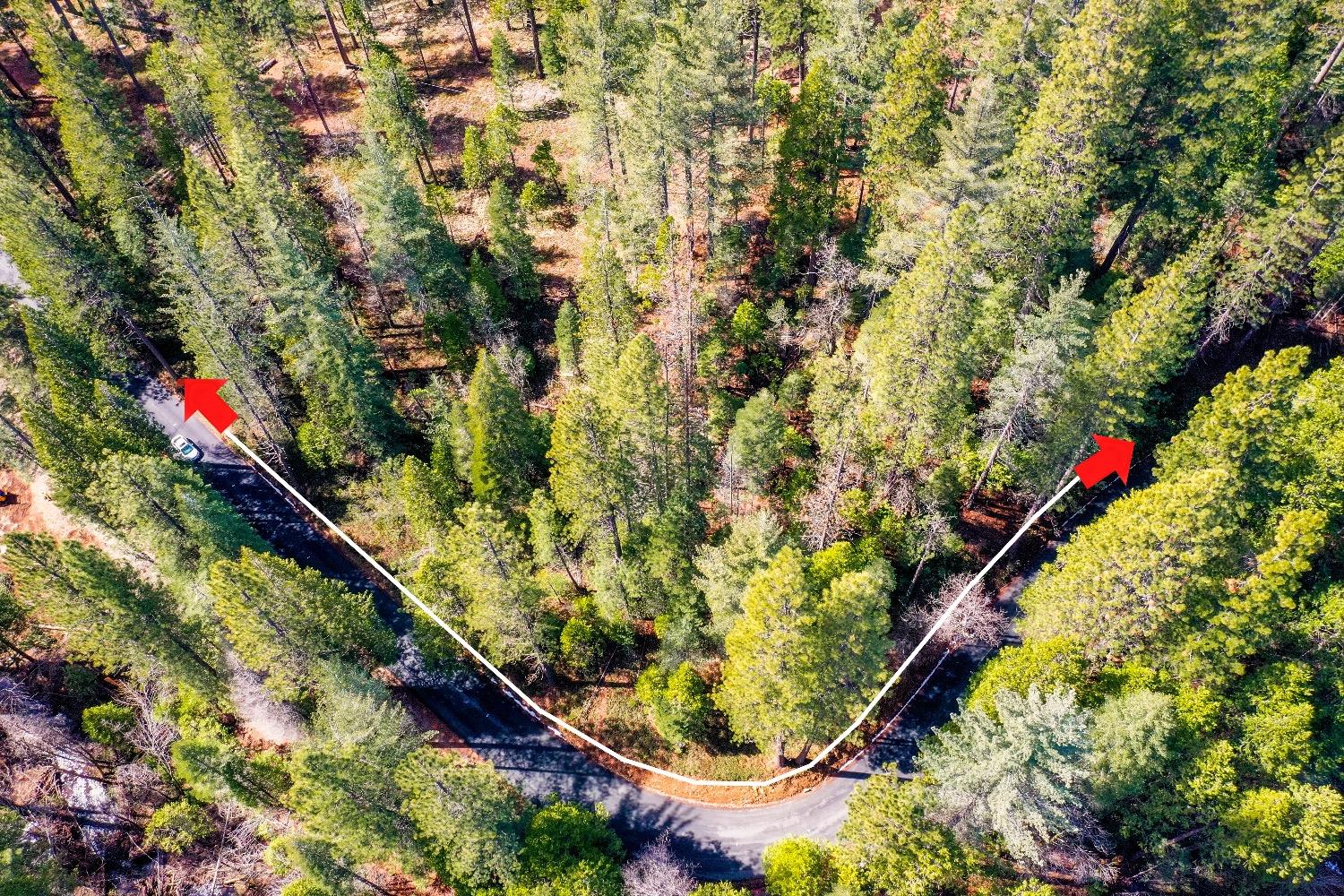 3488 Moran Road