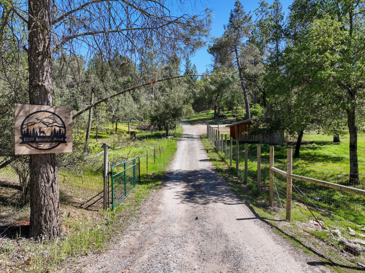 1159 Borrego Drive