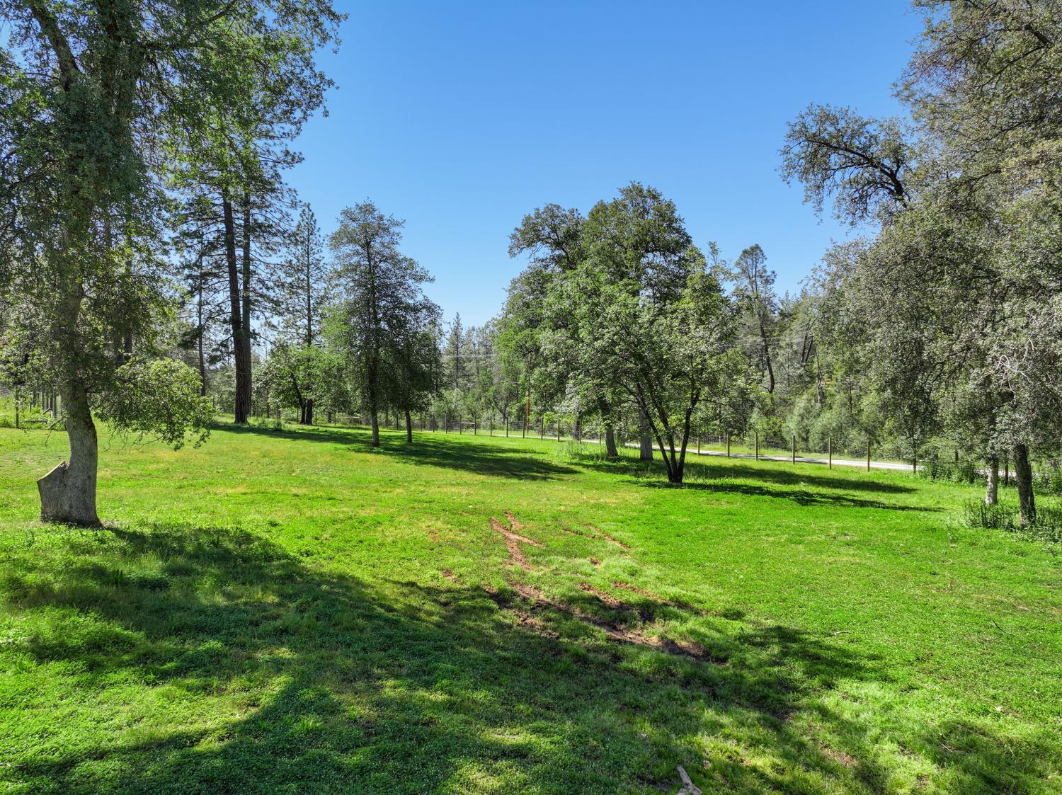 1159 Borrego Drive