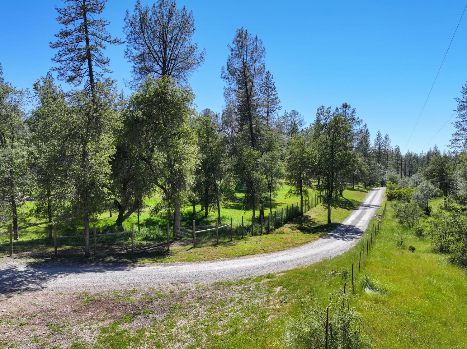 1159 Borrego Drive