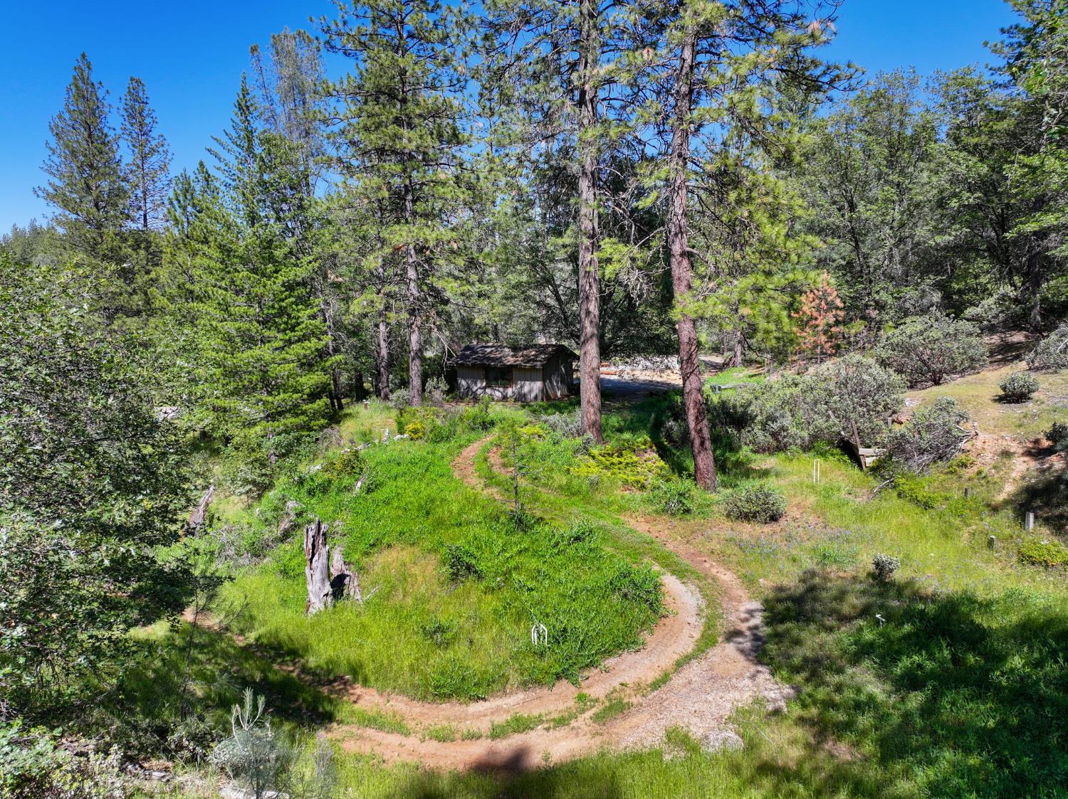 1159 Borrego Drive