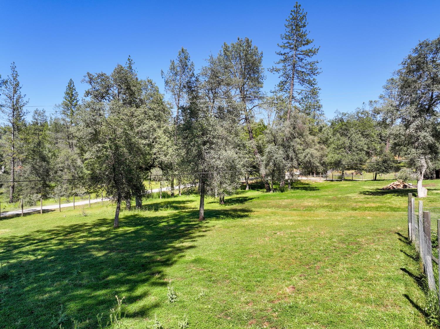 1159 Borrego Drive