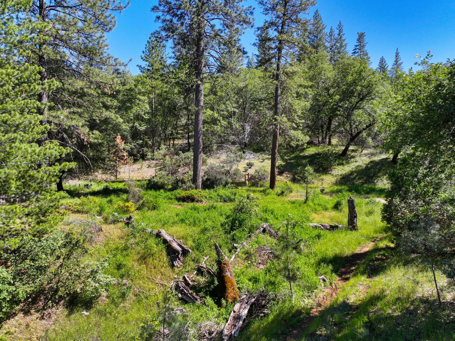 1159 Borrego Drive