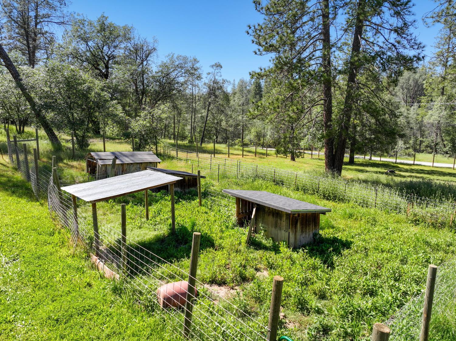 1159 Borrego Drive