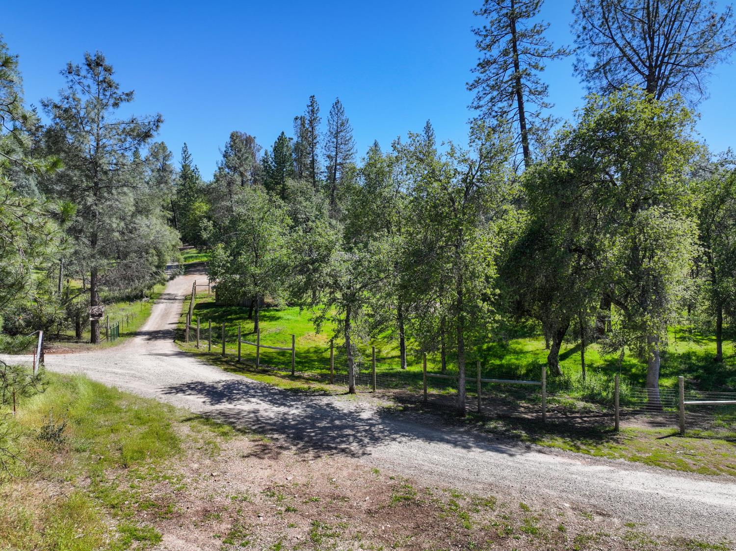 1159 Borrego Drive