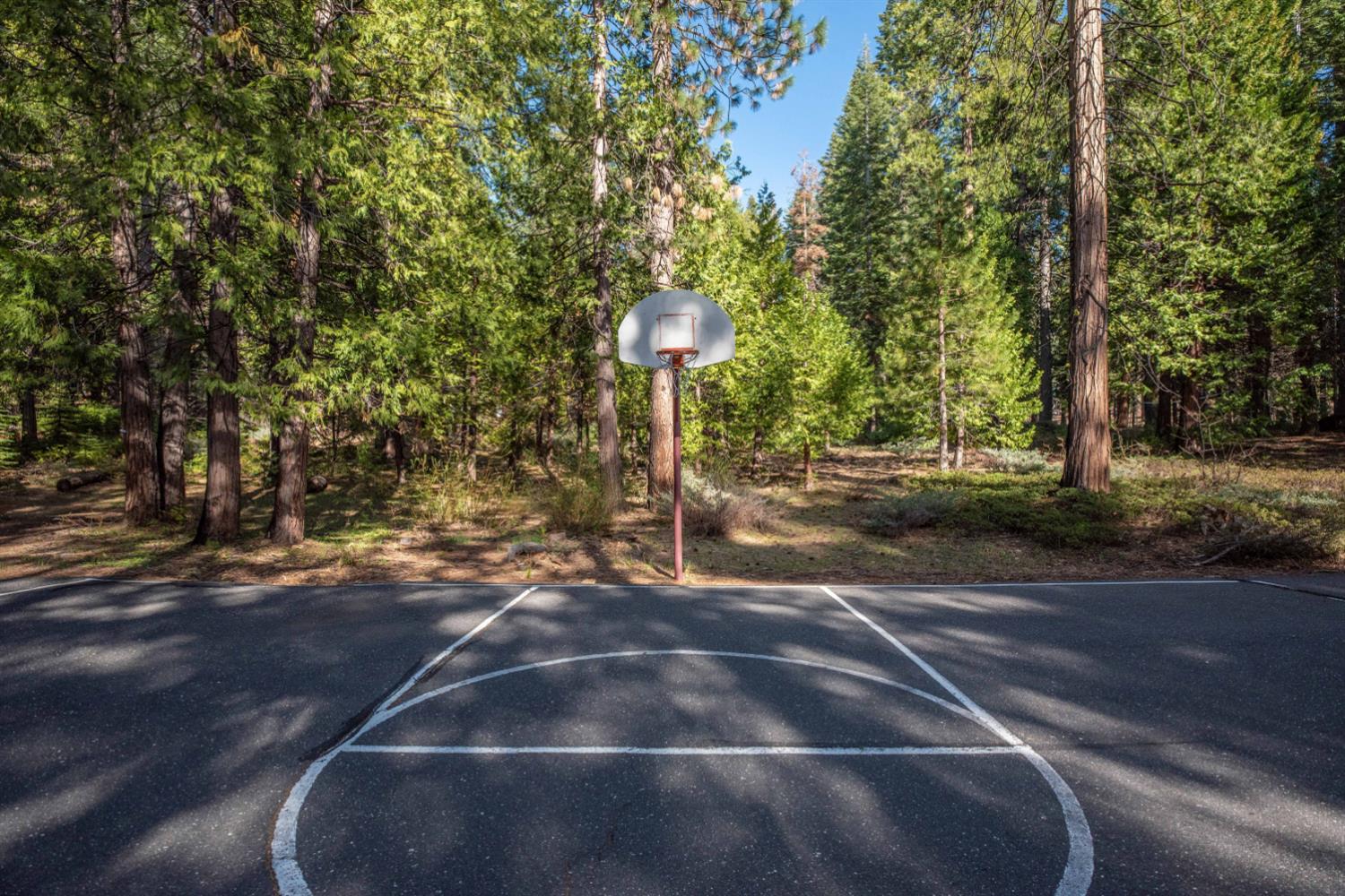 3046 Tahos Drive